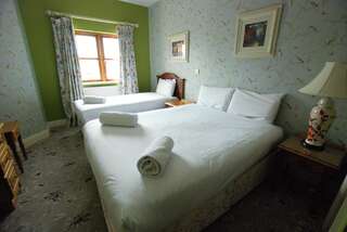 Отели типа «постель и завтрак» The Arch Guesthouse Килкенни Бюджетный двухместный номер с 1 кроватью-1
