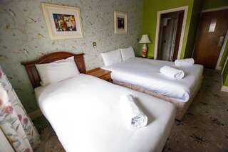 Отели типа «постель и завтрак» The Arch Guesthouse Килкенни Двухместный номер с 1 кроватью или 2 отдельными кроватями-1